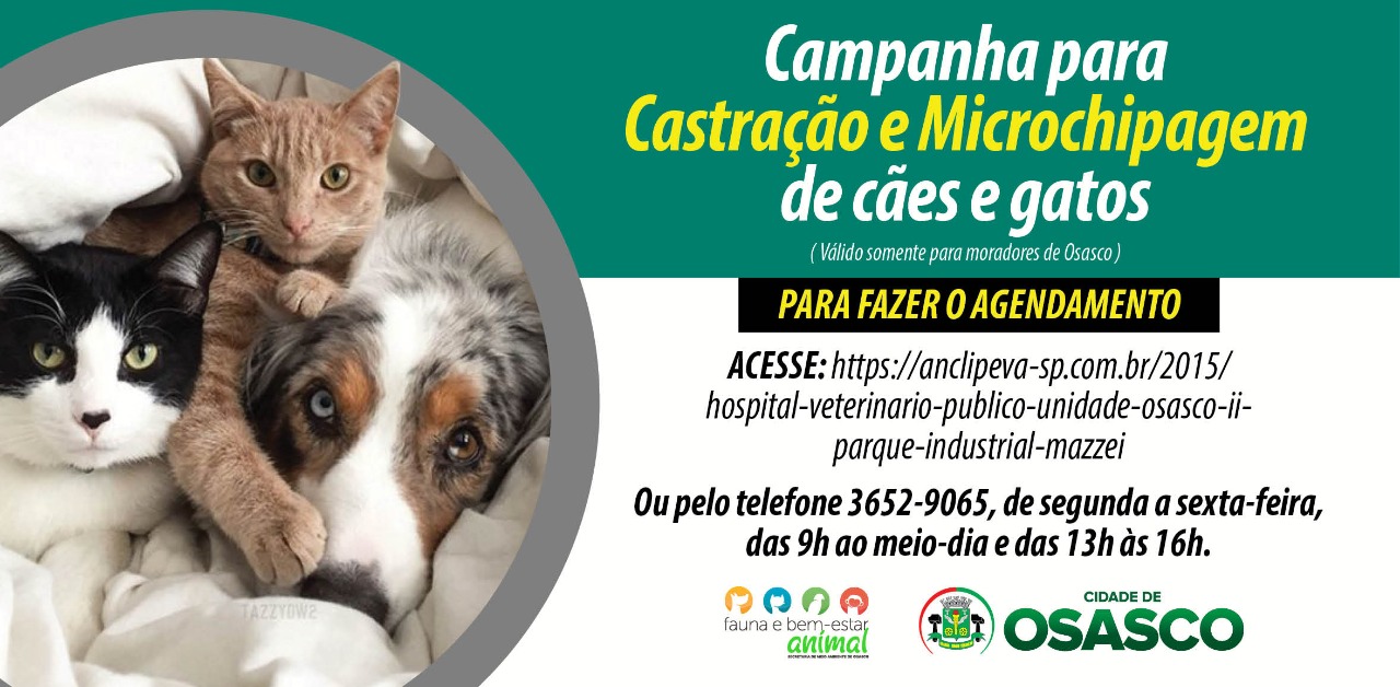 Osasco Realiza Campanha De Castração E Microchipagem De Cães E Gatos Prefeitura De Osasco 6660